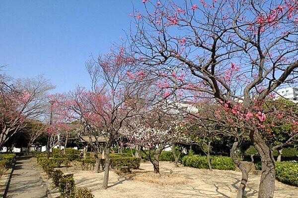 【周辺】円行公園まで1852m、遊具エリアの外側には桜並木が続いていて春になると美しい光景が広がります。地元のお花見の名スポットになっています