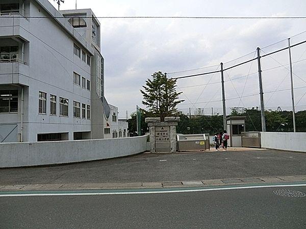 【周辺】鎌倉市立小坂小学校まで953m
