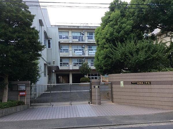 【周辺】横浜市立北綱島小学校まで952m、学校教育目標 　＜心をあわせ　あかるくのびる　北綱の子＞