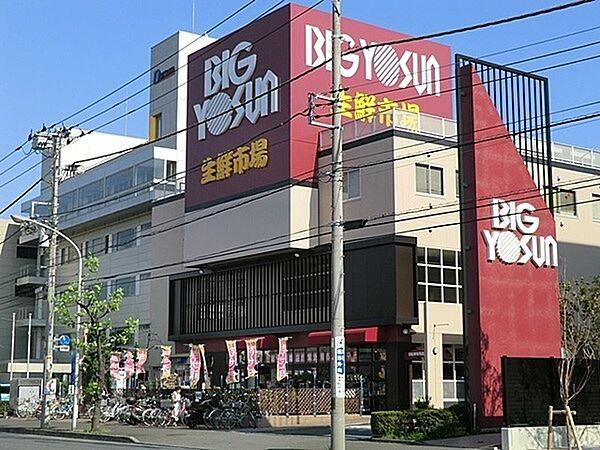 【周辺】ビッグヨーサン綱島樽町店まで653m