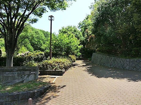 【周辺】飯島南公園まで482m、高台にあり、天気が良ければ富士山が見えることも!?　斜面に位置したこの公園には、所々に遊具が隠れています。