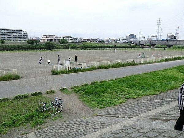 【周辺】鶴見川樽町公園まで806m、トイレやベンチ、水飲み場も完備され、使い勝手はなかなかのもの。子ども連れでも安心の、都市部の中の緑のスポット。