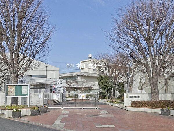 【周辺】横浜市立寺尾中学校まで2455m、昭和22年4月創立　教育目標　子どもたちの「健康」「個性」「学ぶ力」を地域に根ざして伸ばしていきます。