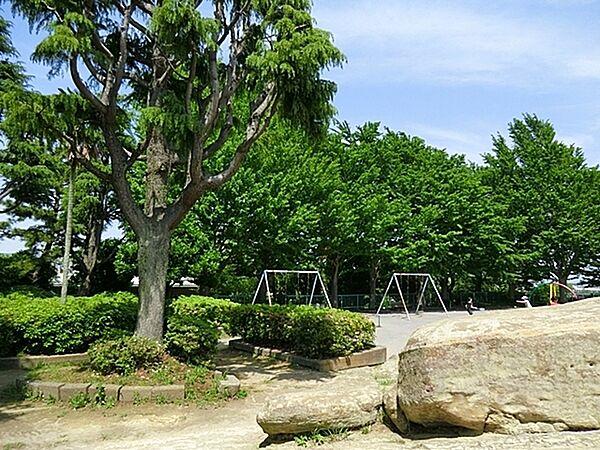 【周辺】鷹取公園まで892m、子供の遊び場に便利です。岩場がある公園。