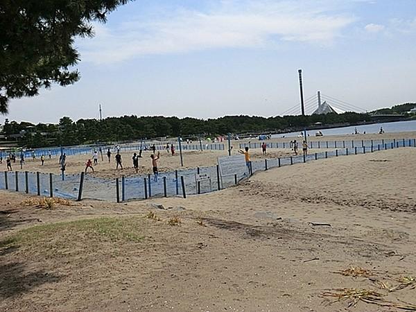【周辺】海の公園まで657m、横浜で唯一の海水浴場をもつ公園、海辺には、砂浜と豊かな緑が広がり、海と人とがふれあえる貴重な憩いの空間 が広がります。