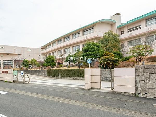 【周辺】藤沢市立藤ケ岡中学校まで449m