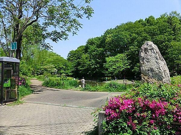 【周辺】桜台公園まで373m、散策路があり散歩が楽しめます。春はさくら、秋は紅葉が楽しめます。ベンチ、トイレ、すべり台、ブランコ、鉄棒があります。