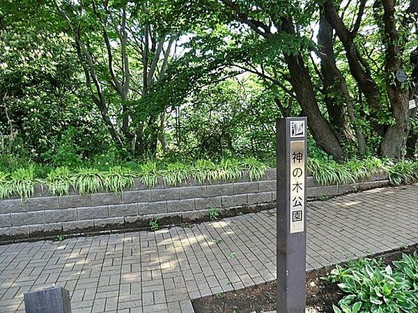 【周辺】神の木公園まで508m、斜面にあることからきれいな景色を臨める神の木公園。のんびりしたお散歩ができる公園。