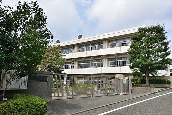 【周辺】横浜市立新石川小学校まで1018m、のびのびとした雰囲気です。最寄り駅がたまプラーザという事もあり周辺に住んでいる人達も雰囲気が良く、治安も良いと感じます。