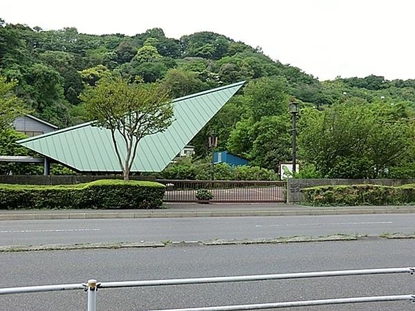 【周辺】横浜市立金沢動物園まで1051m、緑豊かな金沢自然公園内にあり、世界の草食動物を中心に約50種の動物を収集し、展示しています。