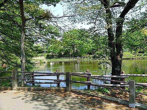 【周辺】菊名池公園まで728m、妙蓮寺駅徒歩5分。蓮の浮いた大きな池、広場、そして夏季にはプールもオープンします。ブランコ・すべり台などもあります。