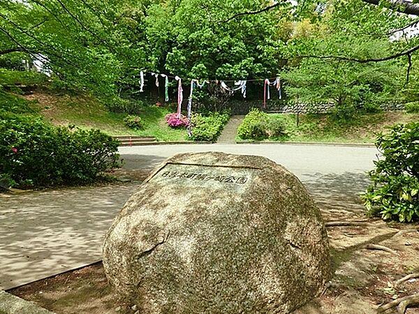 【周辺】日吉本町鯛ヶ崎公園まで507m、思い切り走ったり、山に登ったりできる駅近の公園。山といってもちょうどよい感じの自然具合が嬉しいです。