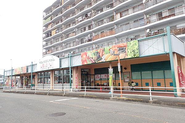 【周辺】スーパーはやし 富木店まで778m