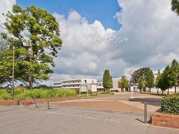 【周辺】白井市立桜台小学校まで850m