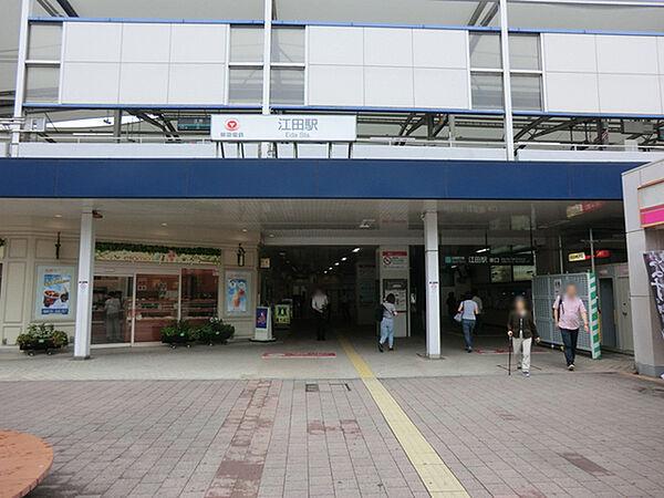 【周辺】東急田園都市線　江田駅まで317m、駅周辺は主要な幹線が近接し、交通の便が良い立地。駅から少し離れると閑静な住宅街続き住環境の良さもある地。