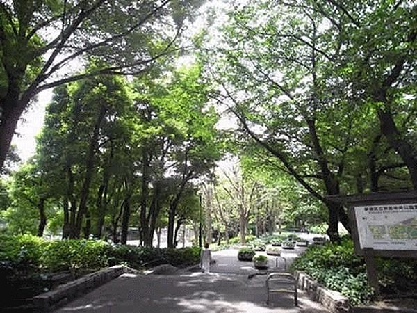 【周辺】新宿中央公園まで240m