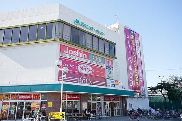 【周辺】ベルクス草加松原店まで1123m
