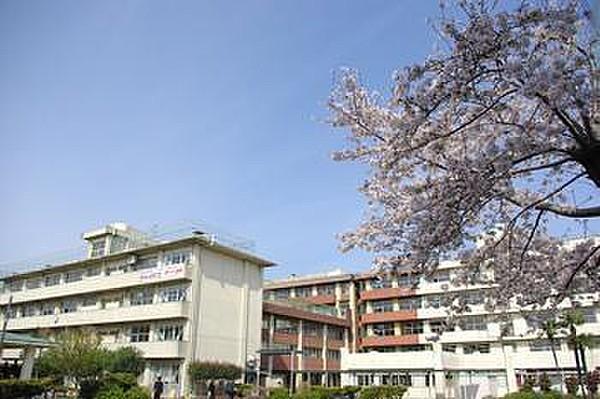 【周辺】松戸市立第五中学校まで681m