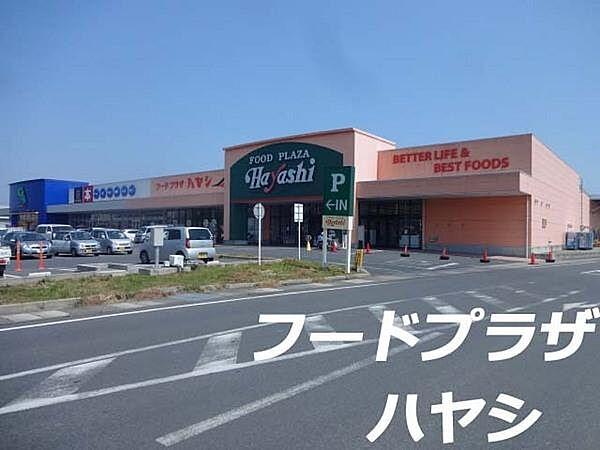 【周辺】フードプラザハヤシ成東店まで1231m