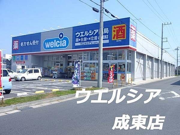 【周辺】ウエルシア薬局山武成東店まで1101m