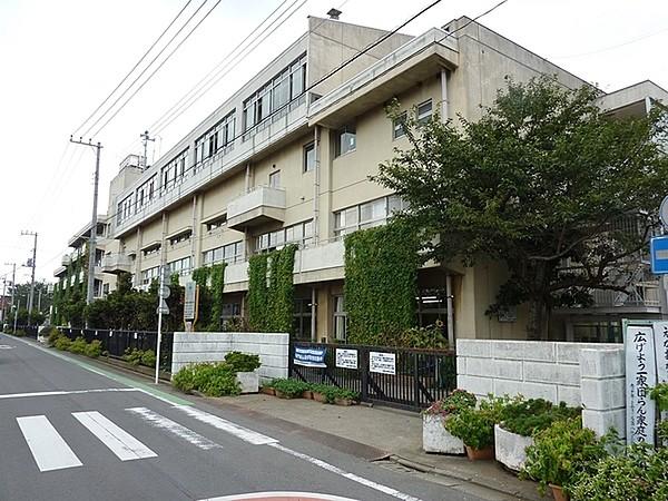 【周辺】新宿小学校まで600m