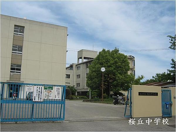 【周辺】枚方市立桜丘中学校まで648m