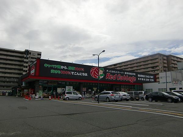 【周辺】レッドキャベツ博多駅南店まで325m