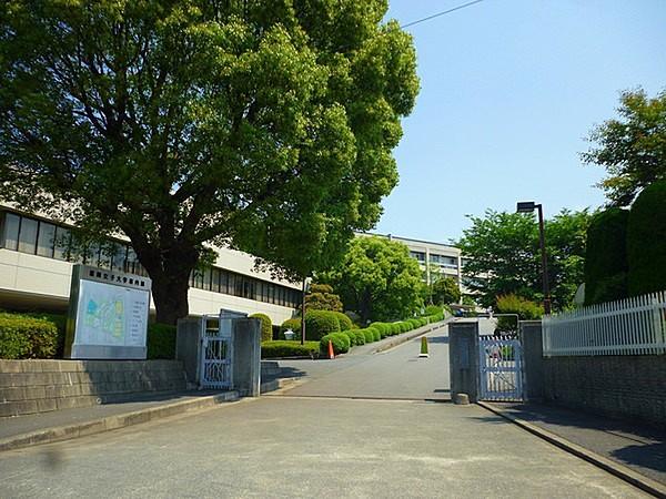【周辺】福岡女子大学まで1157m