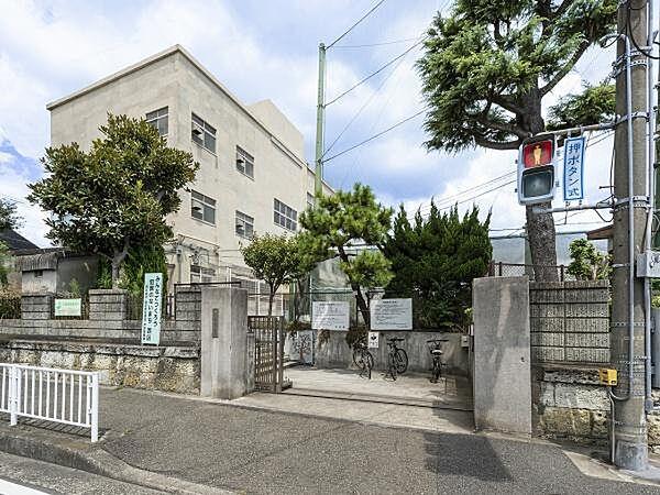 【周辺】横浜市立一本松小学校まで428m
