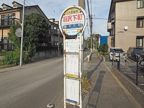 【周辺】バス停　羽沢下町まで67m