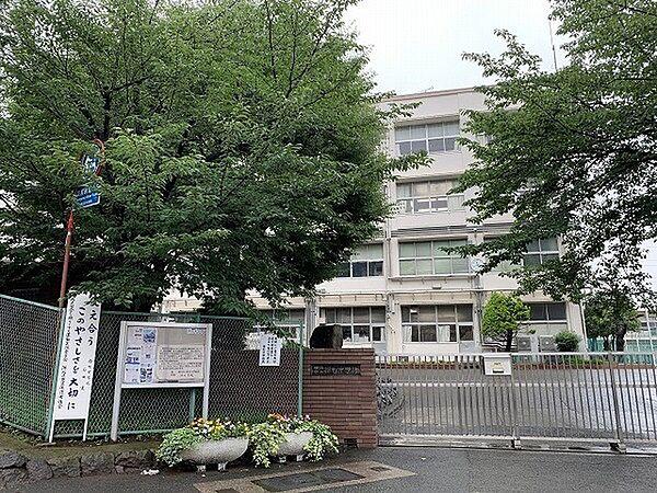 【周辺】横浜市立樽町中学校まで1373m