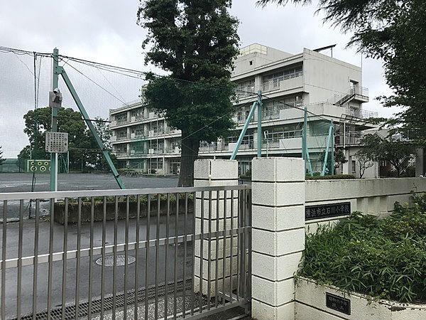 【周辺】横浜市立石川小学校まで440m