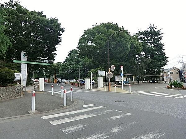 【周辺】独立行政法人国立病院機構相模原病院まで750m