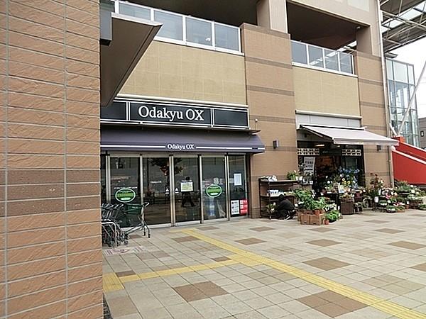 【周辺】OdakyuOX相模原店まで1345m