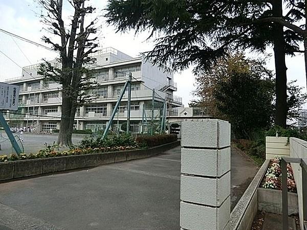 【周辺】横浜市立/石川小学校 徒歩10分。 780m