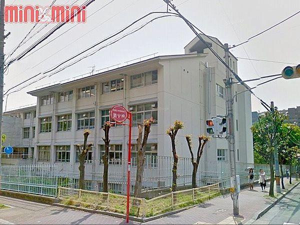 【周辺】神戸市立こうべ小学校 785m