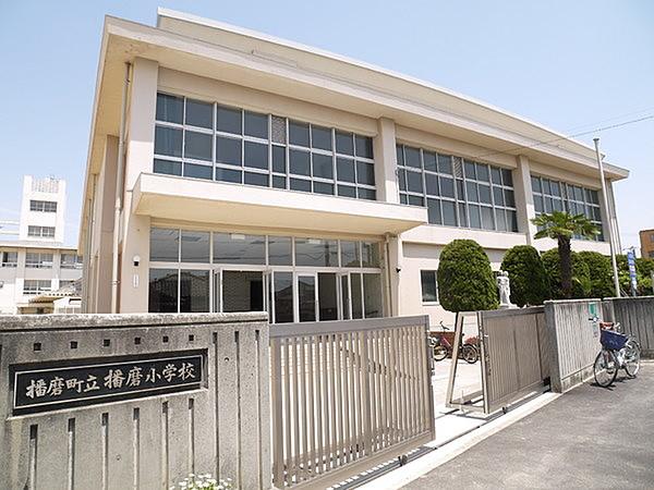 【周辺】播磨町立播磨小学校まで730m
