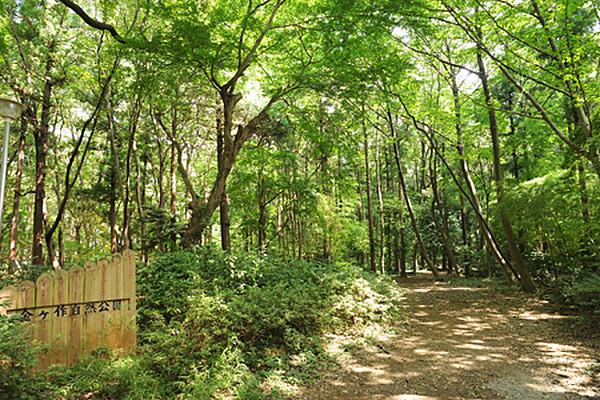 【周辺】金ケ作自然公園まで406m