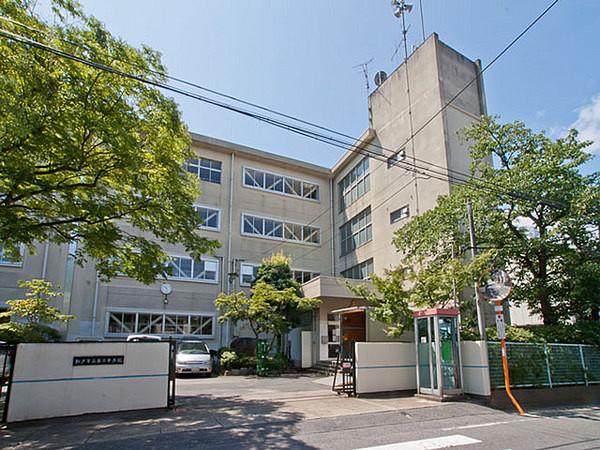 【周辺】松戸市立第三中学校まで1519m