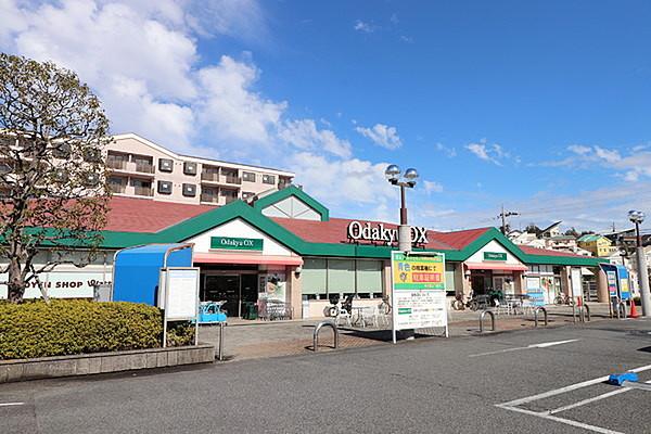 【周辺】OdakyuOX栗平店まで629m