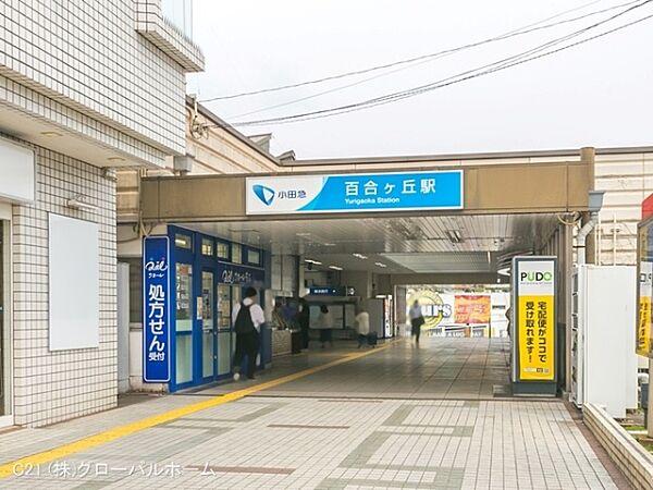【周辺】小田急電鉄小田原線「百合ヶ丘」駅まで240m