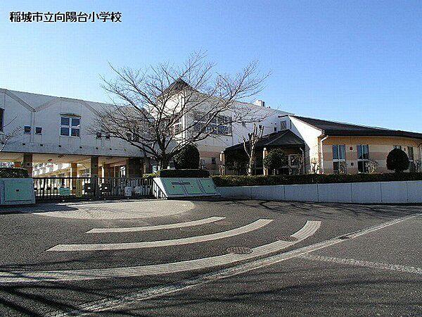 【周辺】稲城市立向陽台小学校まで859m