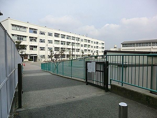 【周辺】横浜市立笹野台小学校まで605m