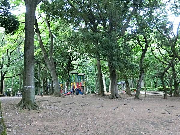 【周辺】林試の森まで720m