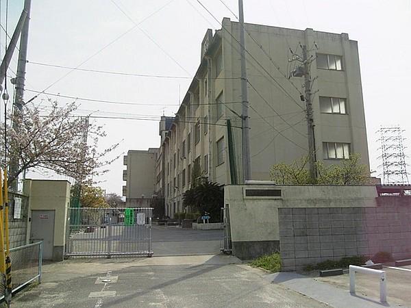 【周辺】八尾市立亀井中学校まで503m