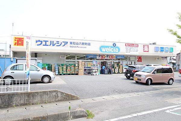 【周辺】ウエルシア薬局東松山六軒町店まで634m