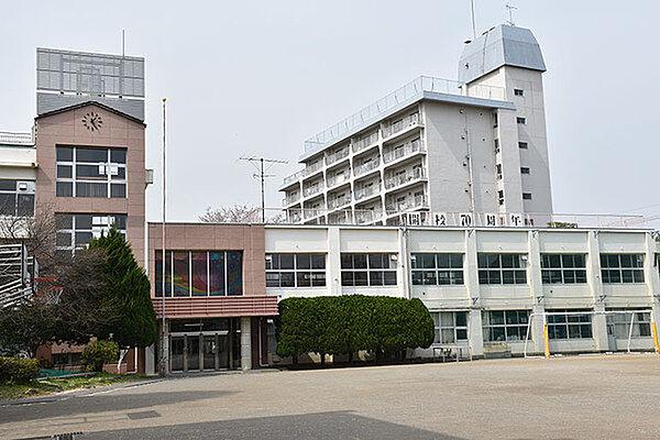 【周辺】大田区立田園調布中学校まで1177m