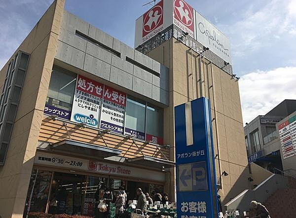 【周辺】東急ストア藤が丘店まで389m