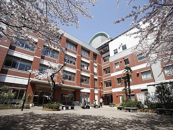 【周辺】私立東京聖栄大学まで504m