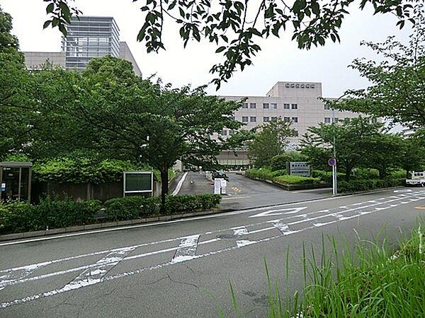 【周辺】独立行政法人労働者健康福祉機構横浜労災病院まで450m